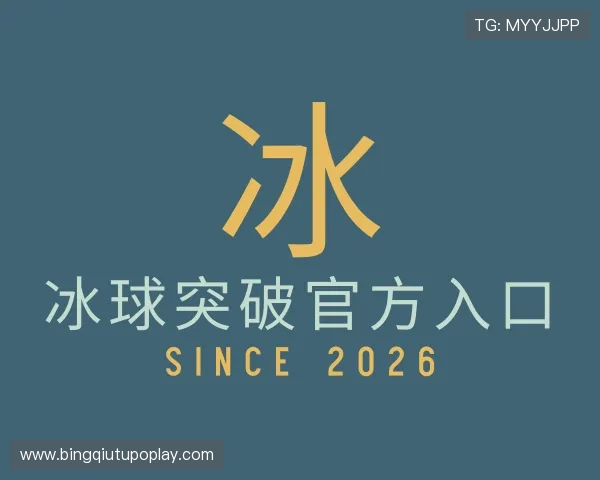 了解冰球突破官方入口